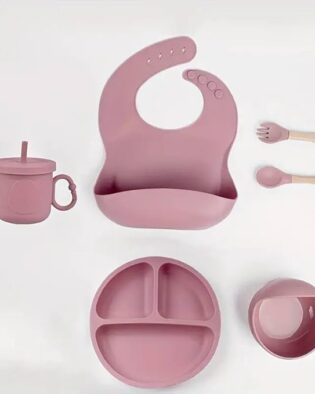 Baby Feeding Set, Complete 6-Piece Baby Led Weaning Set | Baby Feeding Product,Suction Plate, Bowl,Cup, Spoon, Fork and Bib for Baby,Silicon Spoon for Baby Feeding (Pink)