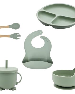 Baby Feeding Set, Complete 6-Piece Baby Led Weaning Set | Baby Feeding Product,Suction Plate, Bowl,Cup, Spoon, Fork and Bib for Baby,Silicon Spoon for Baby Feeding (Green)
